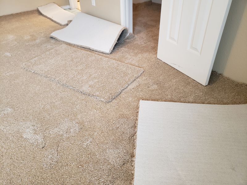 Basement Carpet Stretching in Somerset County, NJ