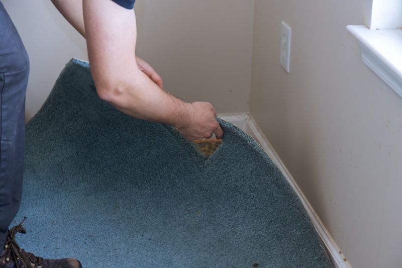 Basement Carpet Stretching in Kansas City, MO