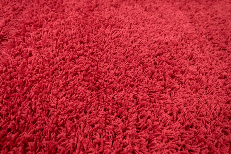 Carpet Burn Repair in Littleton, CO