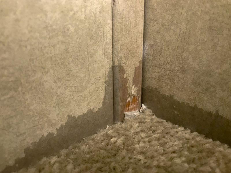 Commercial Carpet Repair in Littleton, CO