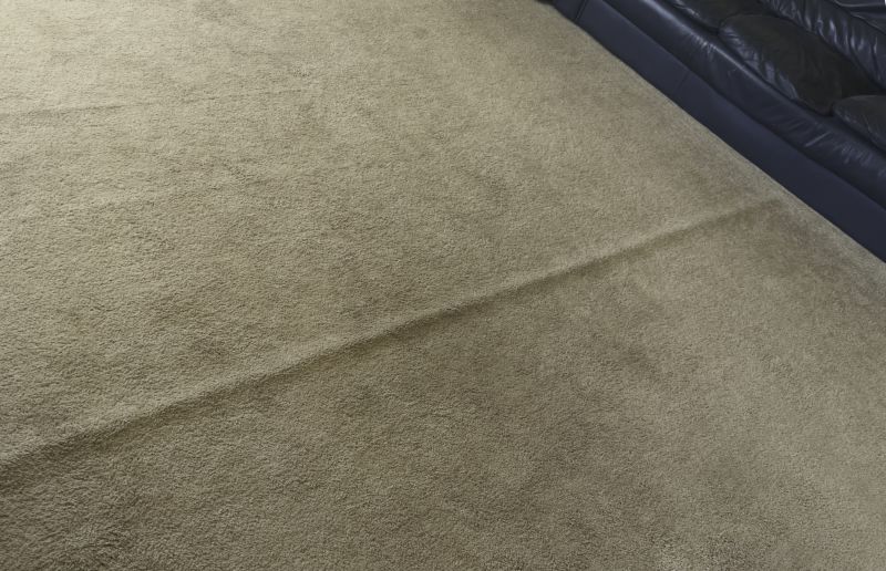 Commercial Carpet Repair in Overland Park, KS