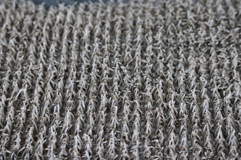 Pet Stain Carpet Repair in Kansas City, KS