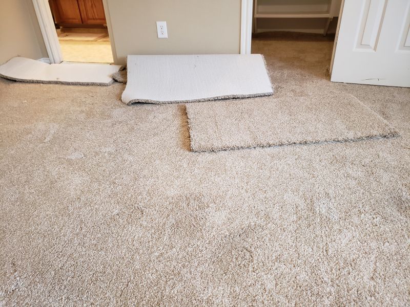 Stair Carpet Repair in Littleton, CO