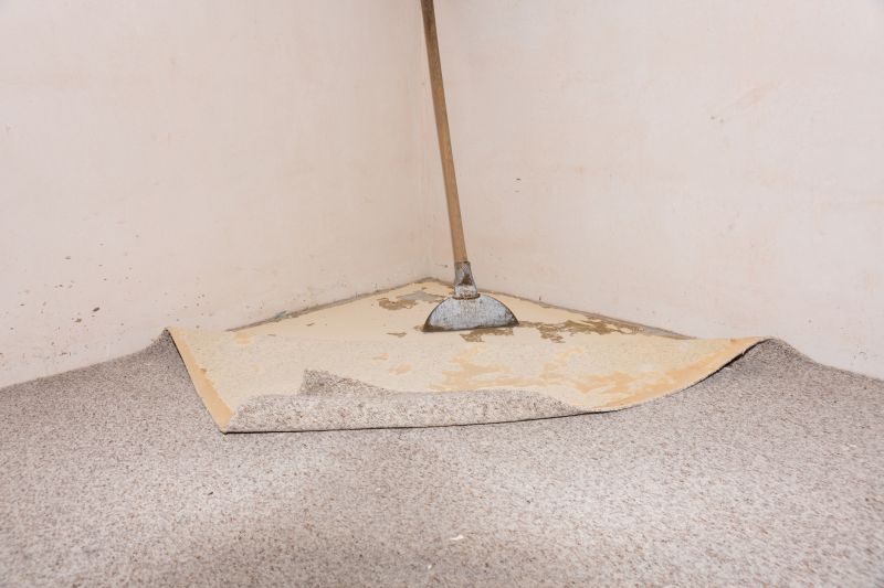 Carpet Hole Repair in Overland Park, KS